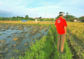 Bali’s verborgen rijstterrassen trekervaring